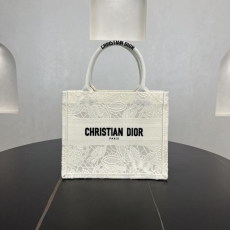 Christian Dior Shopping Bags